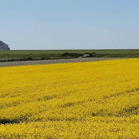 Au Mont Chez Vous #jacuzzi Et Vue Mont-st-michel# Ferienhaus *